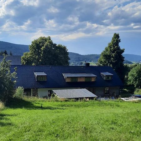 Steinhaus / Kamenny Dum Leilighet Zdíkov Eksteriør bilde